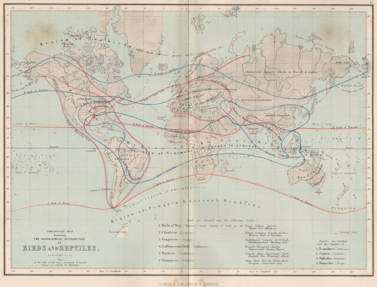 WORLD. Zoological map; Bird & Reptile distribution 1886 old antique chart